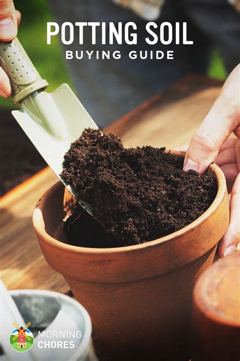 How to use magic dirt potting spoj to rejuvenate potted plants